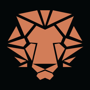 Roar 4X4 Stainless Steel Snorkel — Mazda BT-50 TF (2020 onwards)