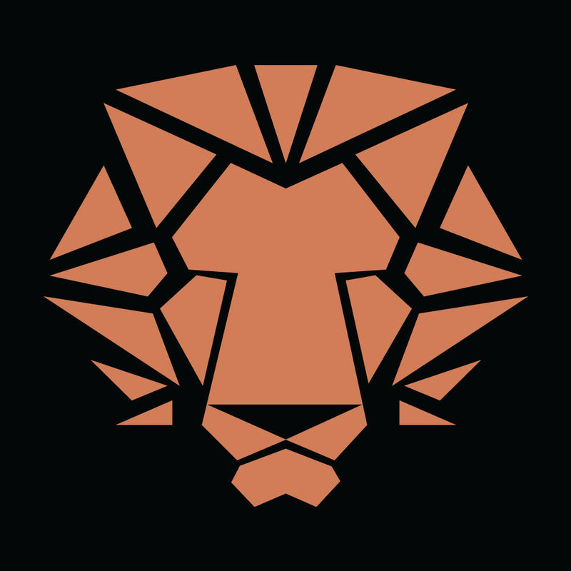 Roar 4x4 Snorkel - Stainless Steel Snorkel — GWM Cannon (2020 onwards)